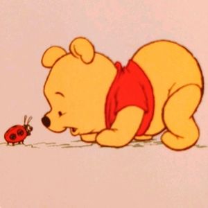 Meet your Posher, Bee